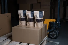 Portfolio Janis Graf