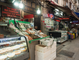 Portfolio Janis Graf