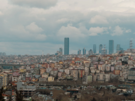 Portfolio Janis Graf