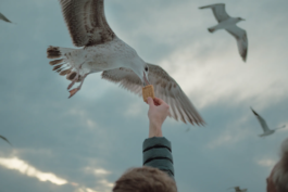 Portfolio Janis Graf