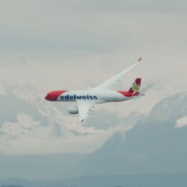 Portfolio Janis Graf